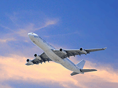 美國海運(yùn)專線_快船 15 天到港_散貨拼箱低至12元每公斤